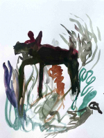 http://www.actionaqua.com/files/gimgs/th-79_ste 5 bearbeitet 1200 klein .jpg